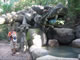My Gallery: Image