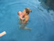 My Gallery: Image