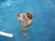 My Gallery: Image