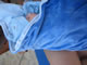 My Gallery: Image