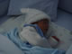 Nathan Dorje Andrew: Image