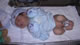 Nathan Dorje Andrew: Image