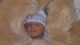 Nathan Dorje Andrew: Image